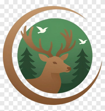 Deer In A Forest Scene PNG