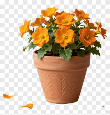 Flower Pot With Orange Blooms PNG