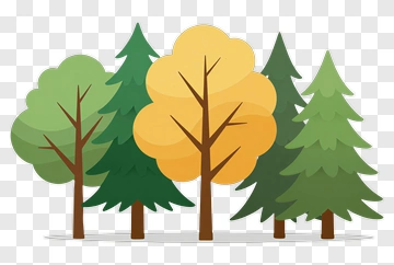 Colorful Tree Group PNG