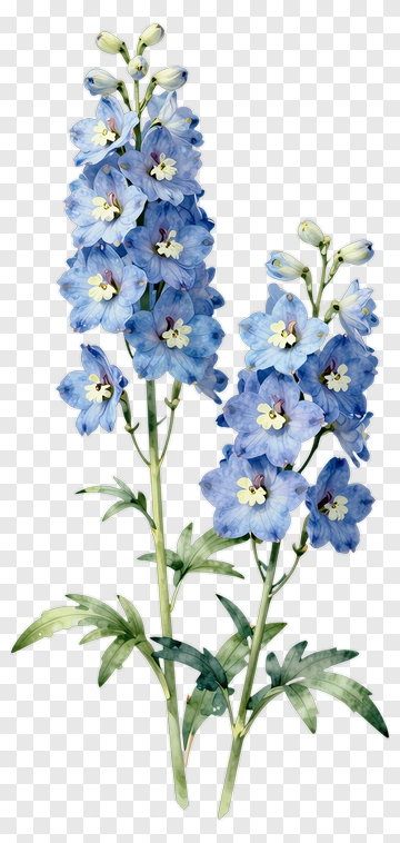 Blue Delphinium Flower Bouquet PNG