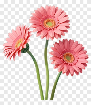 Pink Flower Bouquet PNG