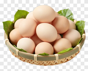 Basket Of Fresh Eggs PNG