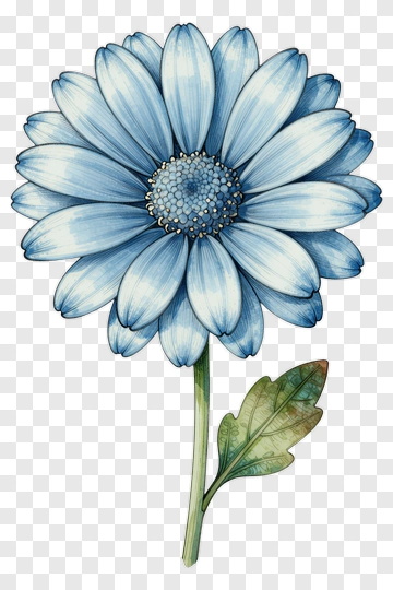 Blue Flower With Leaf PNG