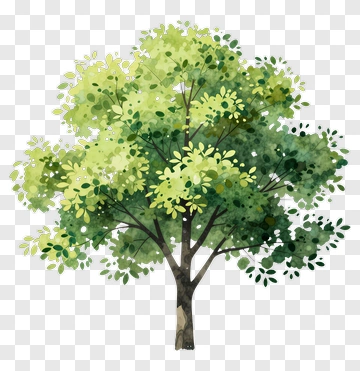 Colorful Tree PNG