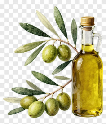 Olive Oil Bottle With Olive Branch PNG
