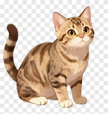 Cartoon Cat Sitting PNG
