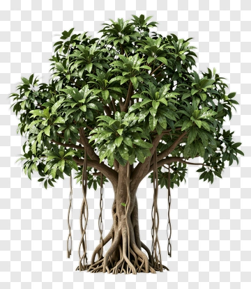 Realistic Tree With Lush Green Foliage PNG