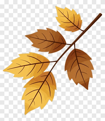 Autumn Leaves On A Branch PNG