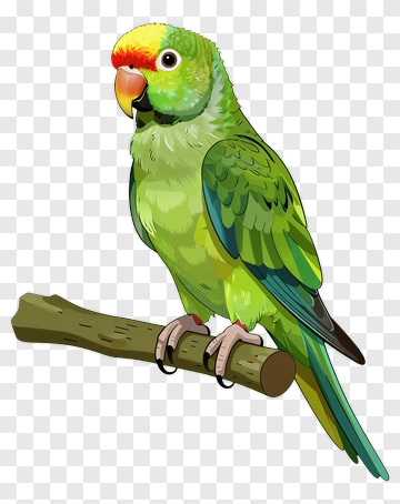 Colorful Parrot Perched On A Branch PNG