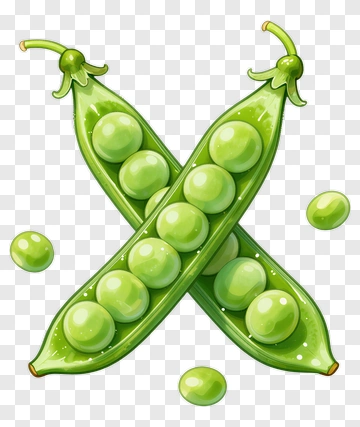 Green Pea Pod With Peas PNG