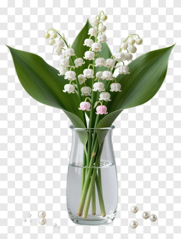 Lily Of The Valley Bouquet In A Vase PNG