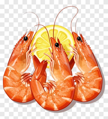 Shrimp With Lemon Slice PNG