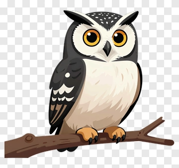 Cartoon Owl Sitting On A Branch PNG