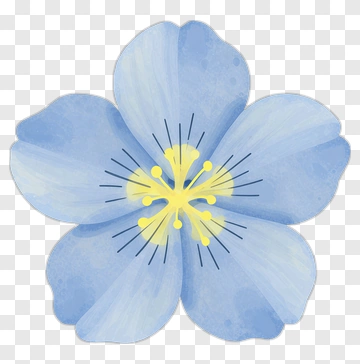 Blue Flower With Yellow Stamen PNG