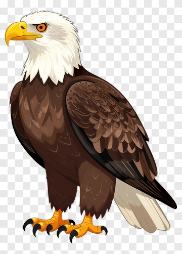 Cartoon Bald Eagle PNG