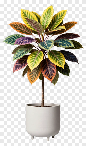 Colorful Potted Plant PNG