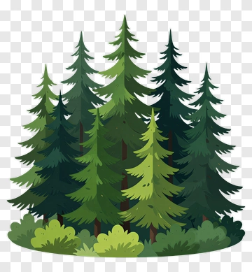 Colorful Pine Trees In A Forest PNG