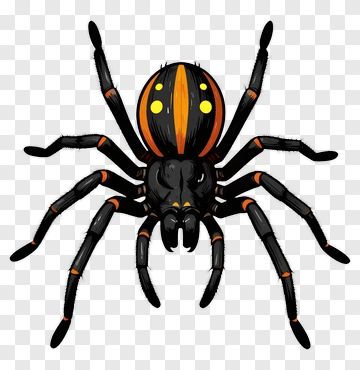 Cartoon Spider With Orange And Black Stripes PNG