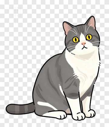 Cartoon Cat PNG
