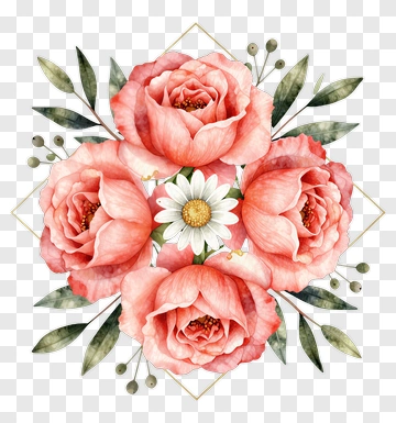 Watercolor Floral Arrangement With Pink Roses And Daisy PNG