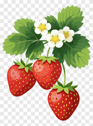 Strawberries With Flowers PNG