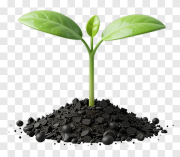 Growing Plant In Soil PNG