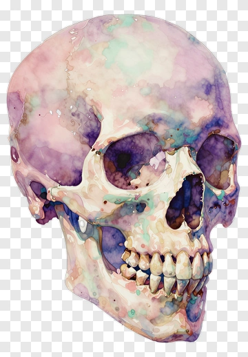 Watercolor Skull With Colorful Splashes PNG