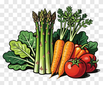 Colorful Vegetable Arrangement PNG