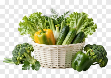 Basket Of Fresh Vegetables PNG