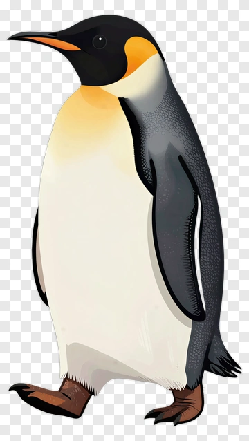 Cartoon Penguin Walking PNG
