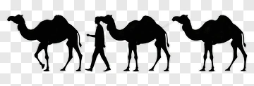 Silhouette Of A Man Walking With Camels PNG