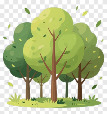 Colorful Tree Group In A Forest PNG