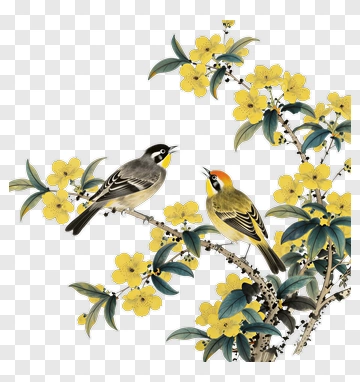 Birds Perched On A Flowering Branch PNG