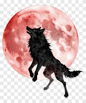 Wolf Howling At A Full Moon PNG
