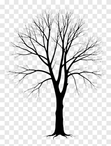 Silhouette Tree With Bare Branches PNG
