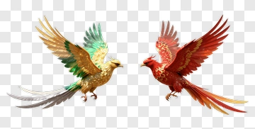 Colorful Phoenix Birds Flying Together PNG