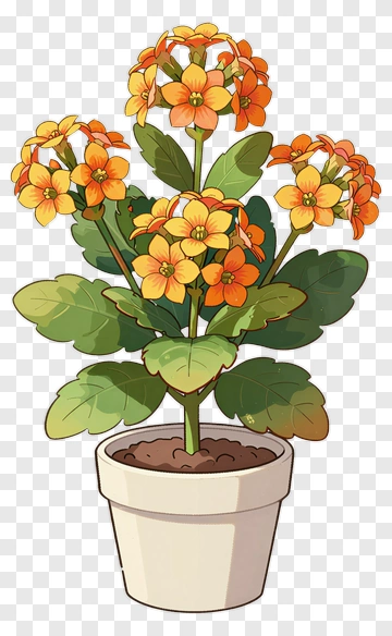 Colorful Flowering Plant In A Pot PNG