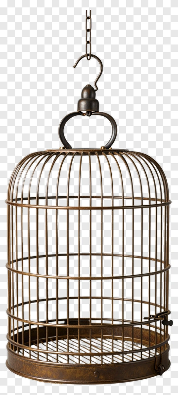 Vintage Birdcage PNG