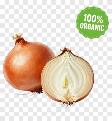 Organic Onion With Cross Section PNG