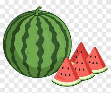 Watermelon And Slices PNG