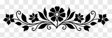 Black Floral Decorative Border PNG