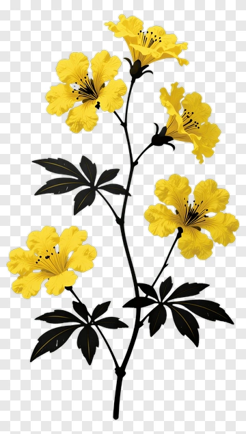 Yellow Flower Branch PNG