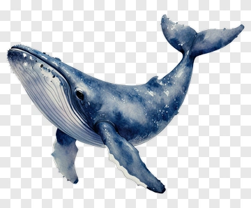 Watercolor Blue Whale Swimming PNG