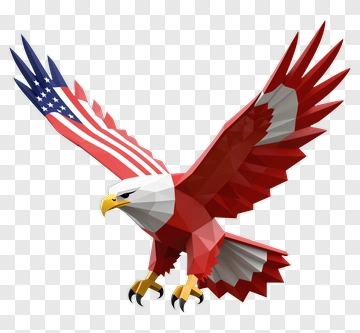 3D Eagle With American Flag Design PNG