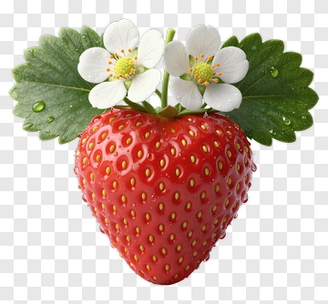 Fresh Strawberry With Flowers And Leaves PNG