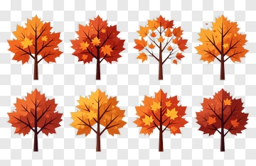 Colorful Autumn Maple Trees PNG