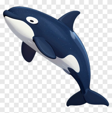 Cartoon Orca Whale PNG