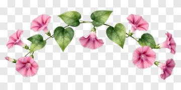 Pink Flower Vine With Green Leaves PNG
