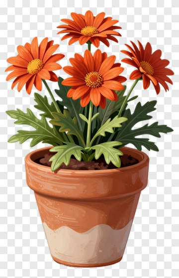 Colorful Flower Pot With Orange Daisies PNG