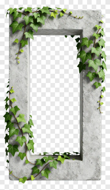 Concrete Frame With Ivy Vines PNG